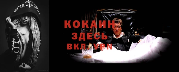 стафф Алзамай