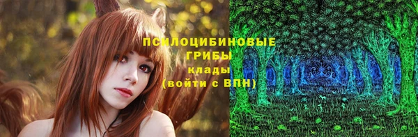 стафф Алзамай