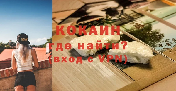 стафф Алзамай