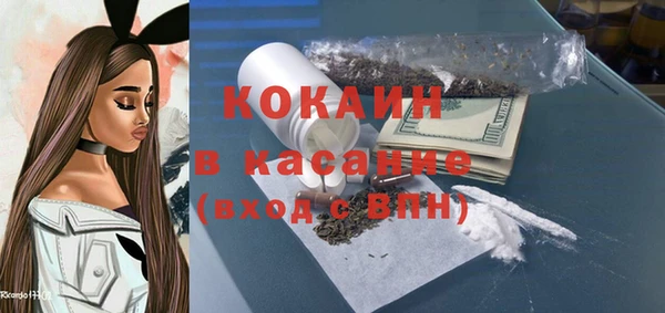 стафф Алзамай