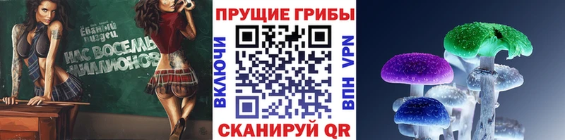 Псилоцибиновые грибы мицелий  Уяр 